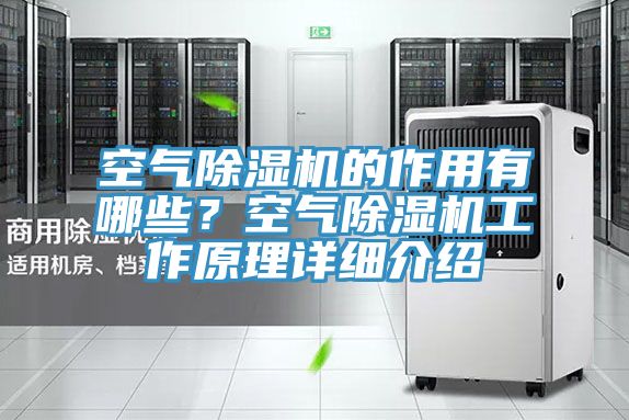 空氣除濕機的作用有哪些？空氣除濕機工作原理詳細介紹