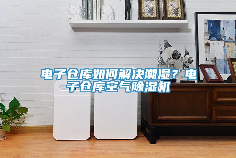 電子倉庫如何解決潮濕？電子倉庫空氣除濕機