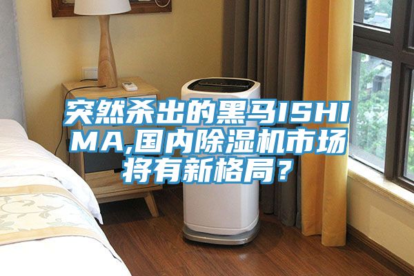 突然殺出的黑馬ISHIMA,國內(nèi)除濕機市場將有新格局？