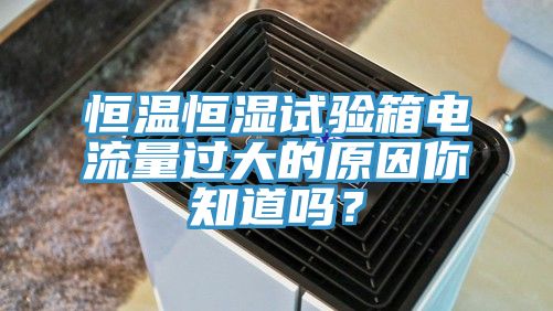 恒溫恒濕試驗(yàn)箱電流量過大的原因你知道嗎？
