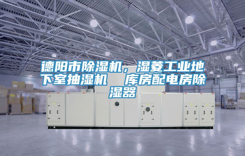 德陽市除濕機(jī)，濕菱工業(yè)地下室抽濕機(jī)  庫房配電房除濕器