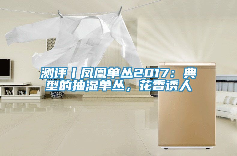 測評丨鳳凰單叢2017：典型的抽濕單叢，花香誘人