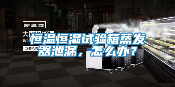 恒溫恒濕試驗箱蒸發(fā)器泄漏，怎么辦？