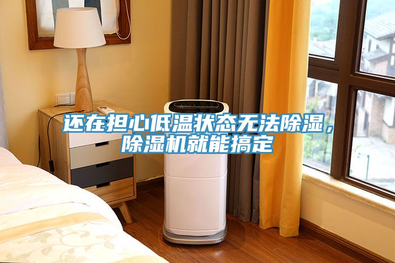 還在擔(dān)心低溫狀態(tài)無法除濕，除濕機(jī)就能搞定