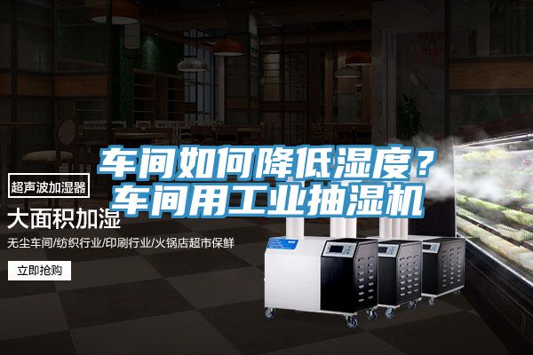 車間如何降低濕度？車間用工業(yè)抽濕機(jī)