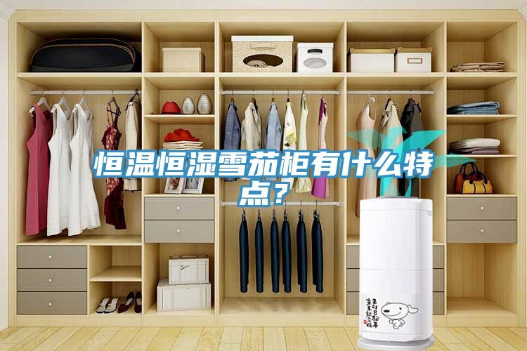恒溫恒濕雪茄柜有什么特點(diǎn)？