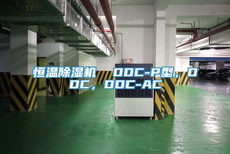 恒溫除濕機(jī)  DDC-P型，DDC，DDC-AC