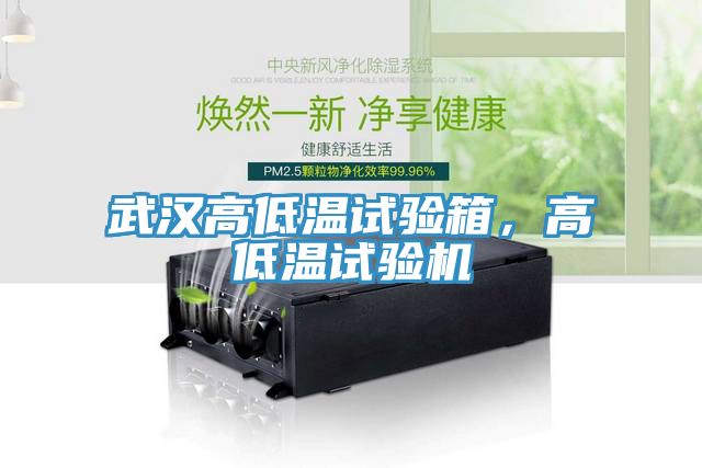 武漢高低溫試驗箱，高低溫試驗機(jī)