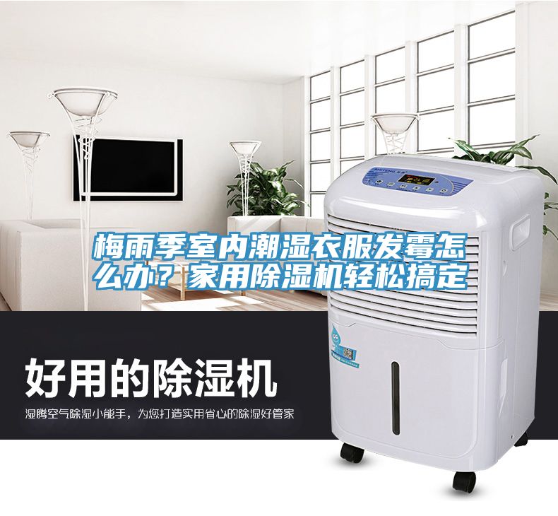 梅雨季室內(nèi)潮濕衣服發(fā)霉怎么辦？家用除濕機輕松搞定
