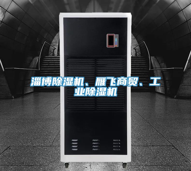 淄博除濕機、雁飛商貿、工業(yè)除濕機