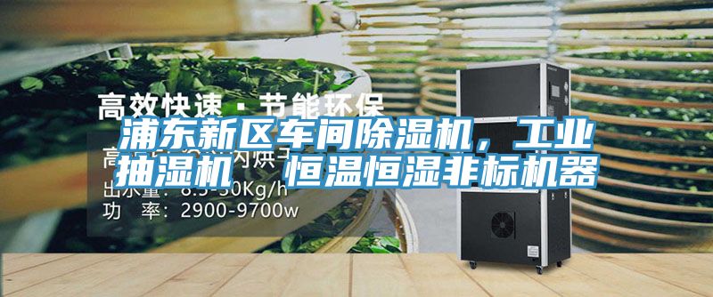 浦東新區(qū)車間除濕機(jī)，工業(yè)抽濕機(jī)  恒溫恒濕非標(biāo)機(jī)器