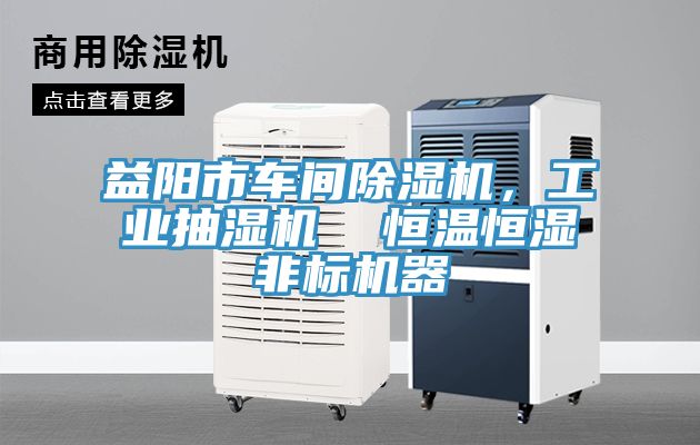 益陽市車間除濕機，工業(yè)抽濕機  恒溫恒濕非標機器