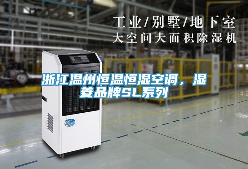 浙江溫州恒溫恒濕空調(diào)，濕菱品牌SL系列