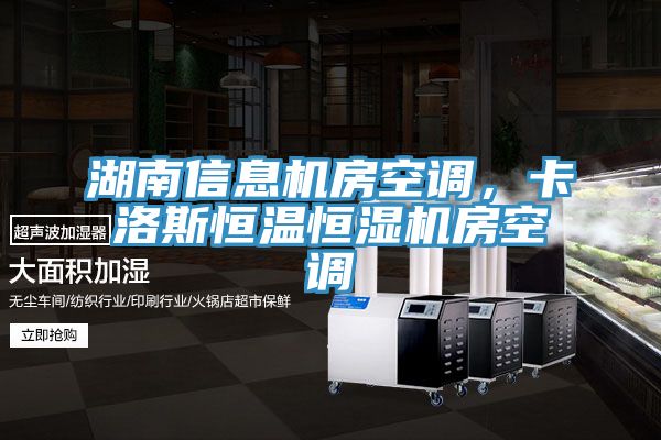 湖南信息機(jī)房空調(diào)，卡洛斯恒溫恒濕機(jī)房空調(diào)
