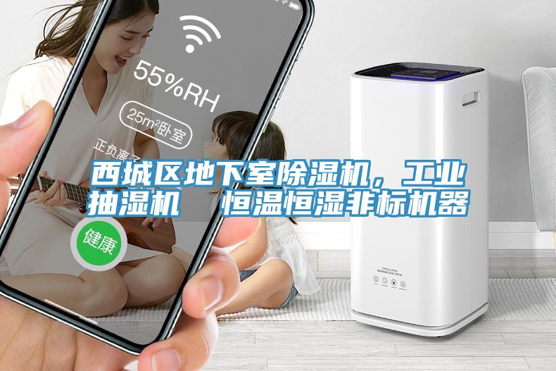 西城區(qū)地下室除濕機，工業(yè)抽濕機  恒溫恒濕非標(biāo)機器