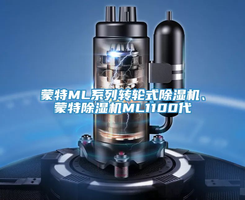 蒙特ML系列轉(zhuǎn)輪式除濕機(jī)、蒙特除濕機(jī)ML1100代
