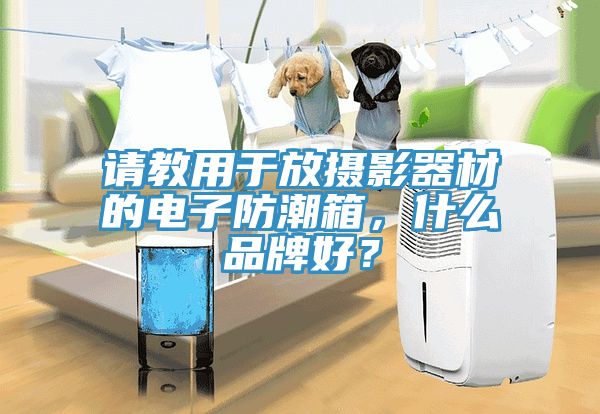 請(qǐng)教用于放攝影器材的電子防潮箱，什么品牌好？