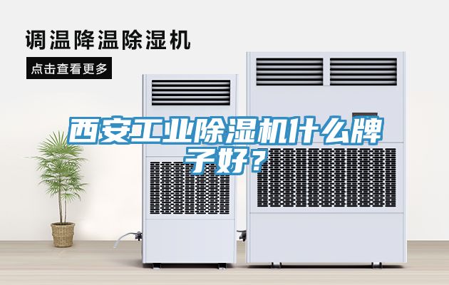 西安工業(yè)除濕機什么牌子好？