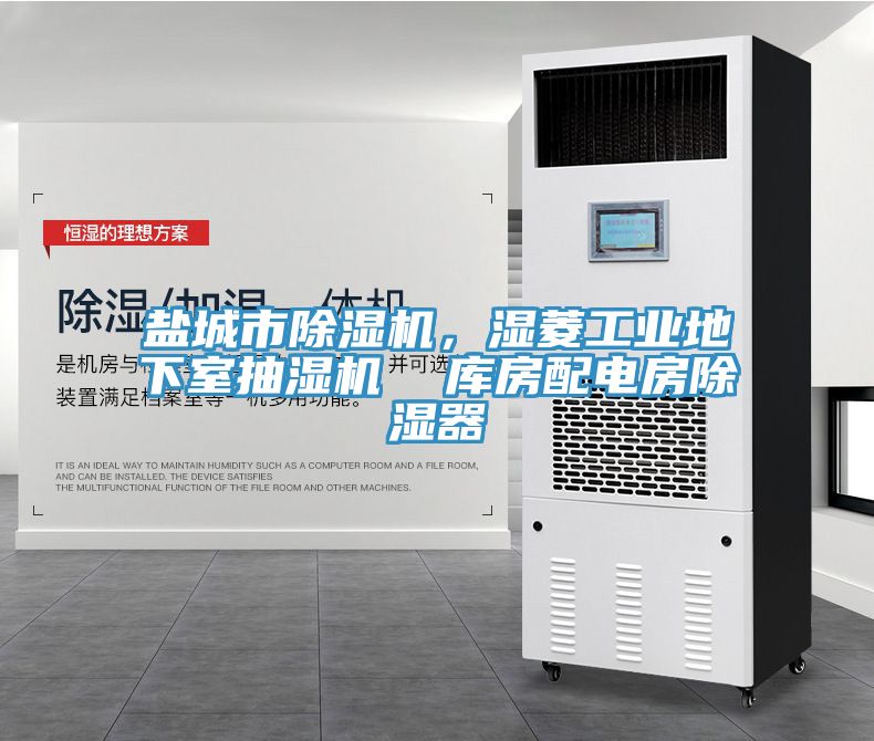 鹽城市除濕機，濕菱工業(yè)地下室抽濕機  庫房配電房除濕器
