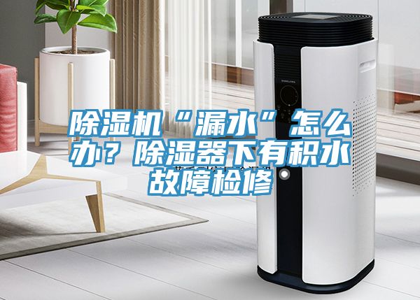 除濕機“漏水”怎么辦？除濕器下有積水故障檢修