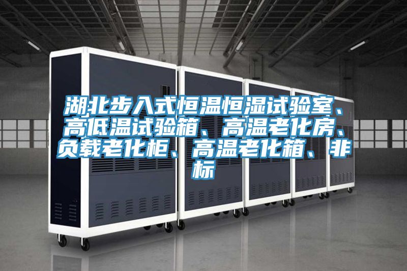 湖北步入式恒溫恒濕試驗(yàn)室、高低溫試驗(yàn)箱、高溫老化房、負(fù)載老化柜、高溫老化箱、非標(biāo)