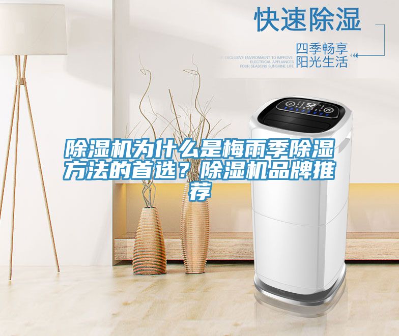 除濕機(jī)為什么是梅雨季除濕方法的首選？除濕機(jī)品牌推薦