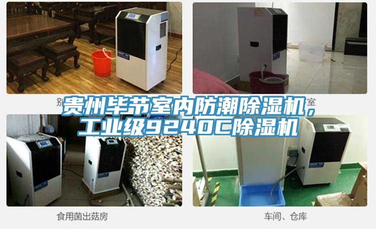 貴州畢節(jié)室內(nèi)防潮除濕機(jī)，工業(yè)級(jí)9240C除濕機(jī)