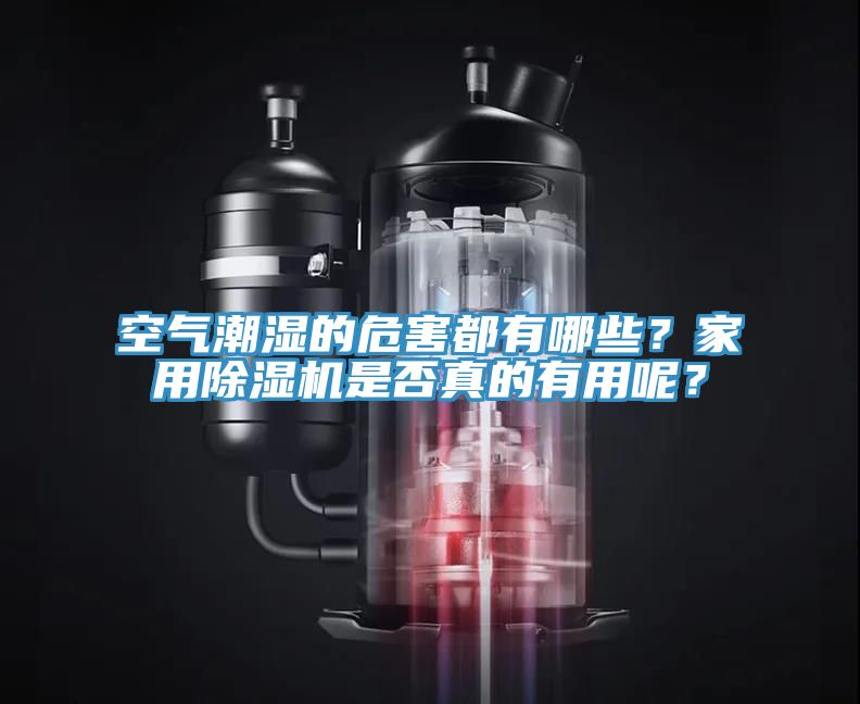 空氣潮濕的危害都有哪些？家用除濕機(jī)是否真的有用呢？