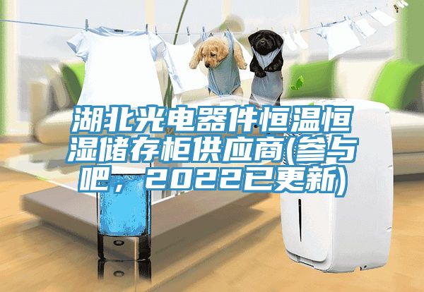 湖北光電器件恒溫恒濕儲存柜供應(yīng)商(參與吧，2022已更新)