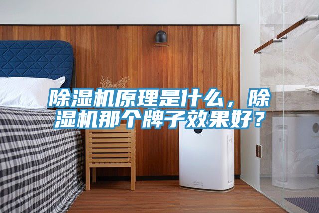 除濕機(jī)原理是什么，除濕機(jī)那個(gè)牌子效果好？