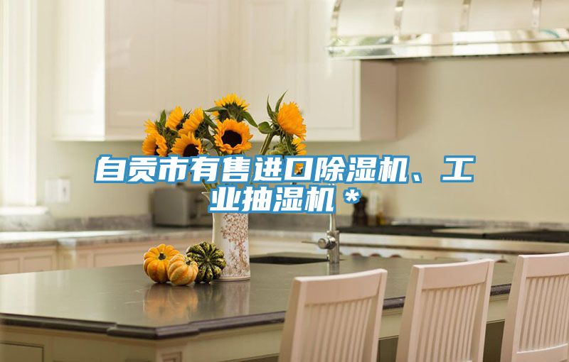 自貢市有售進(jìn)口除濕機(jī)、工業(yè)抽濕機(jī)＊