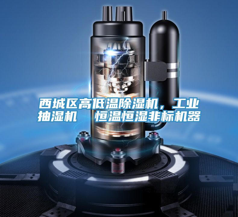西城區(qū)高低溫除濕機，工業(yè)抽濕機  恒溫恒濕非標(biāo)機器