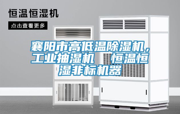 襄陽市高低溫除濕機，工業(yè)抽濕機  恒溫恒濕非標(biāo)機器