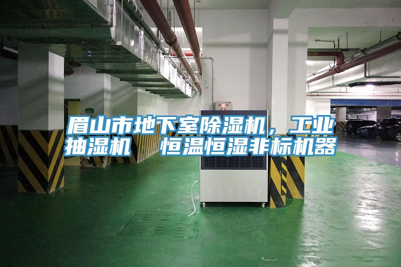 眉山市地下室除濕機，工業(yè)抽濕機  恒溫恒濕非標(biāo)機器