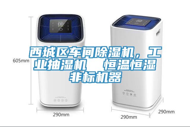 西城區(qū)車間除濕機，工業(yè)抽濕機  恒溫恒濕非標(biāo)機器
