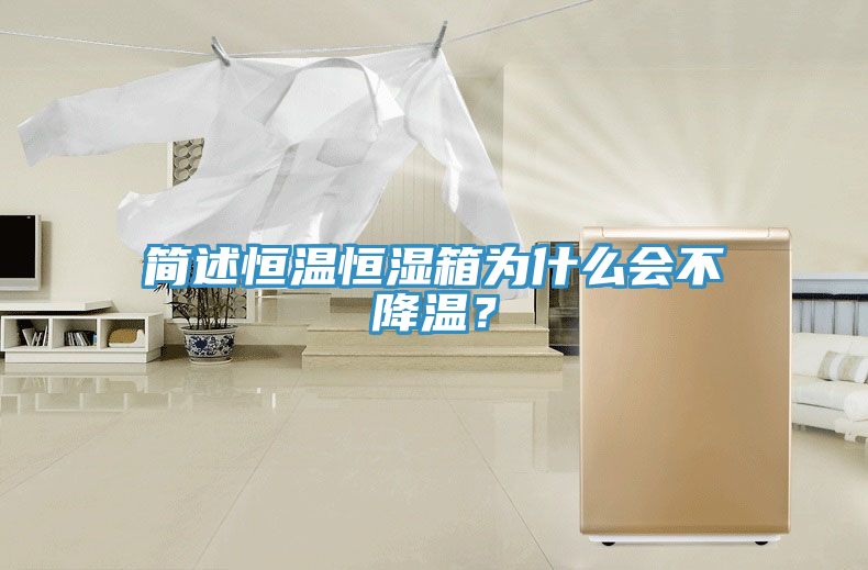 簡(jiǎn)述恒溫恒濕箱為什么會(huì)不降溫？