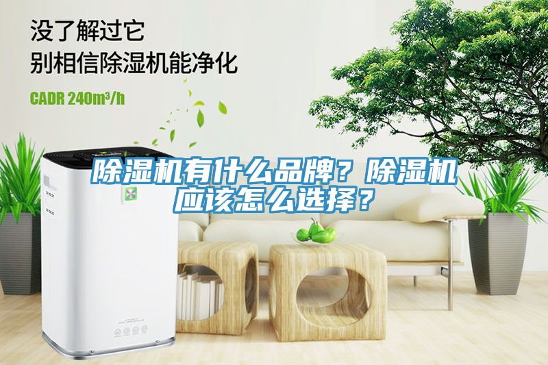 除濕機(jī)有什么品牌？除濕機(jī)應(yīng)該怎么選擇？