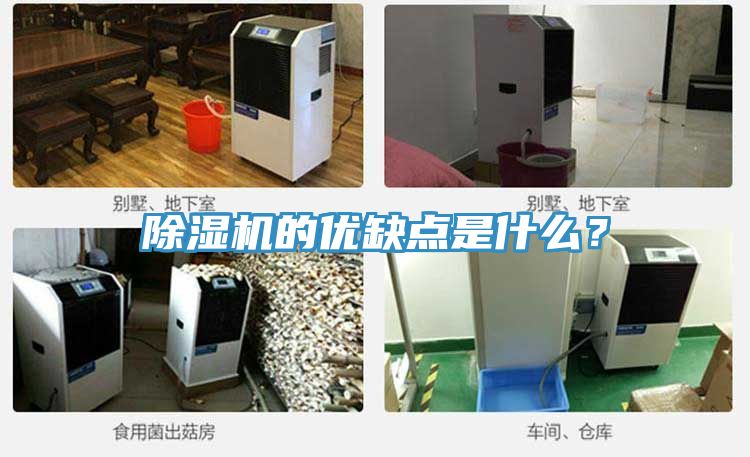 除濕機的優(yōu)缺點是什么？