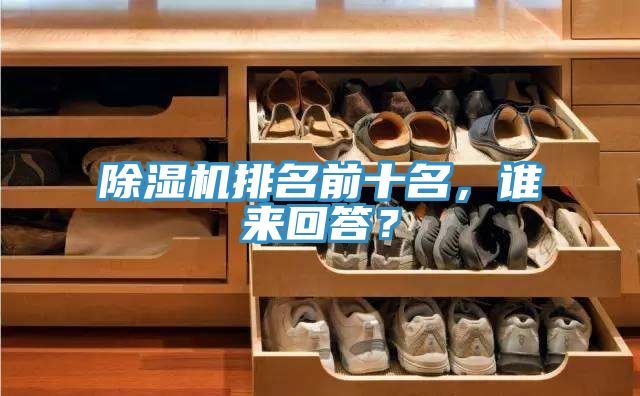除濕機(jī)排名前十名，誰來回答？