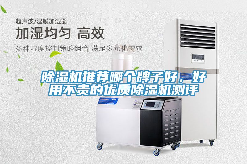 除濕機(jī)推薦哪個(gè)牌子好，好用不貴的優(yōu)質(zhì)除濕機(jī)測(cè)評(píng)