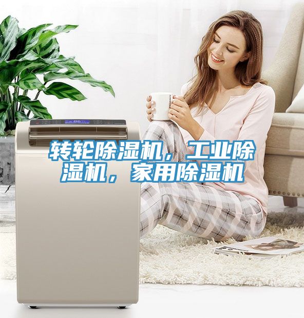轉輪除濕機，工業(yè)除濕機，家用除濕機