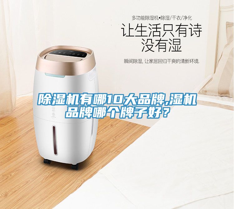 除濕機(jī)有哪10大品牌,濕機(jī)品牌哪個(gè)牌子好？