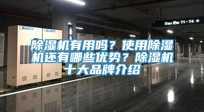 除濕機(jī)有用嗎？使用除濕機(jī)還有哪些優(yōu)勢(shì)？除濕機(jī)十大品牌介紹