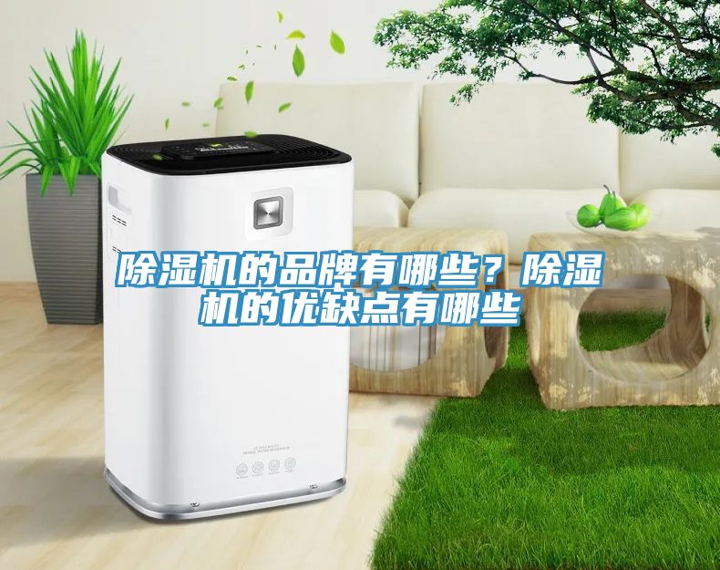 除濕機的品牌有哪些？除濕機的優(yōu)缺點有哪些