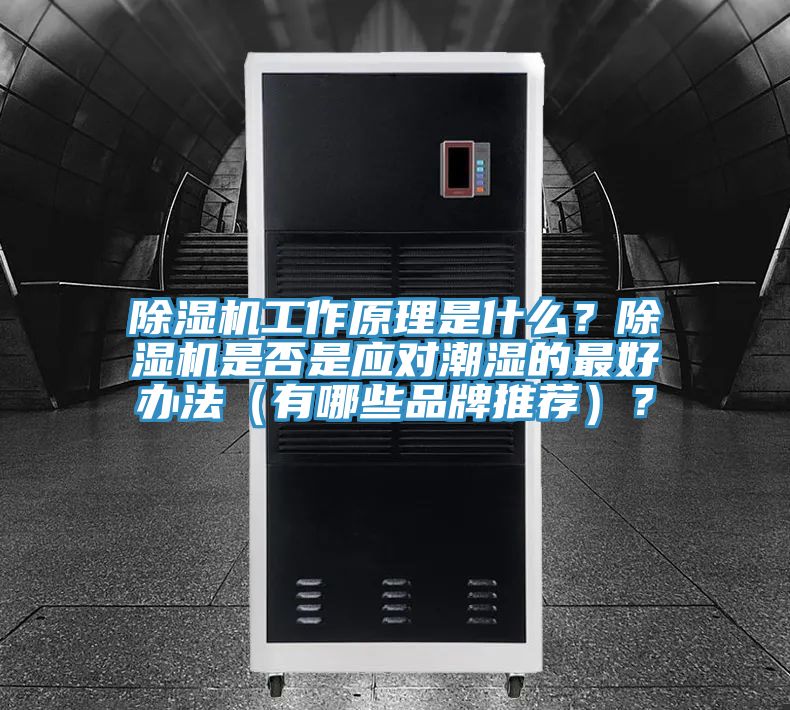 除濕機(jī)工作原理是什么？除濕機(jī)是否是應(yīng)對(duì)潮濕的最好辦法（有哪些品牌推薦）？
