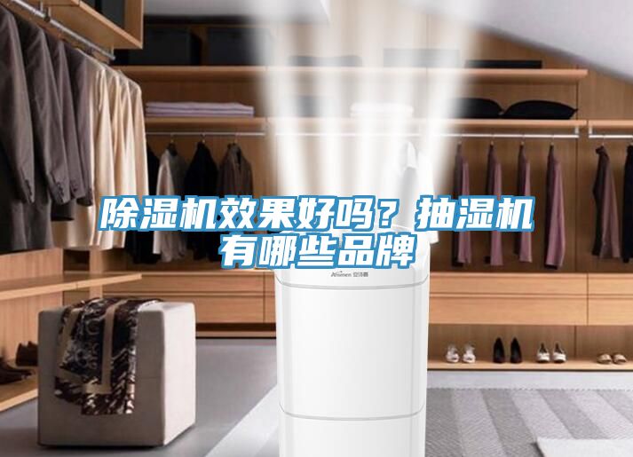 除濕機(jī)效果好嗎？抽濕機(jī)有哪些品牌