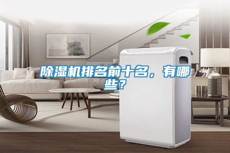 除濕機(jī)排名前十名，有哪些？