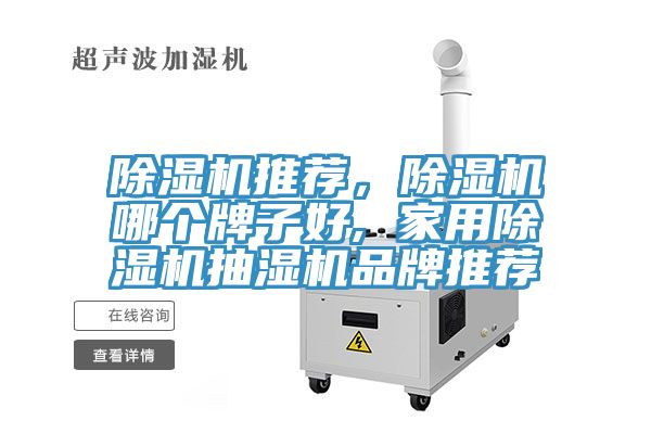 除濕機(jī)推薦，除濕機(jī)哪個(gè)牌子好, 家用除濕機(jī)抽濕機(jī)品牌推薦