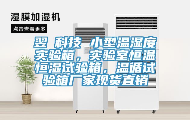 翌昇科技 小型溫濕度實驗箱，實驗室恒溫恒濕試驗箱，溫循試驗箱廠家現(xiàn)貨直銷