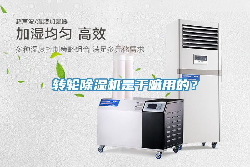 轉(zhuǎn)輪除濕機(jī)是干嘛用的？